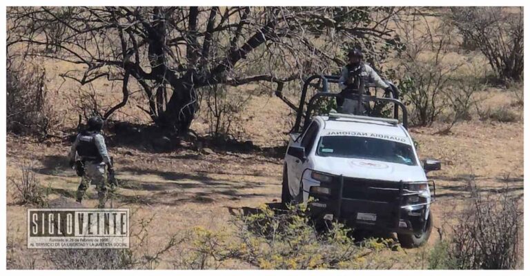 Localizan 5 cuerpos calcinadas en zona serrana del municipio de Zinapécuaro