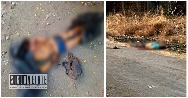 Con los dos muertos encontrados hoy viernes, aumenta a 23 el número de víctimas en lo que va del año en Apatzingán