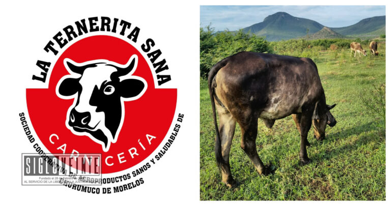 Cooperativa de Churumuco logra certificar como orgánica su producción cárnica