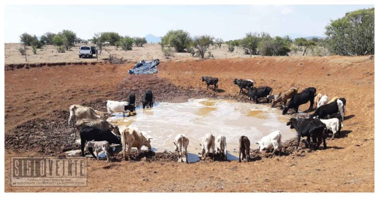 En Churumuco, diversos sectores y autoridades unen esfuerzos contra la sequía