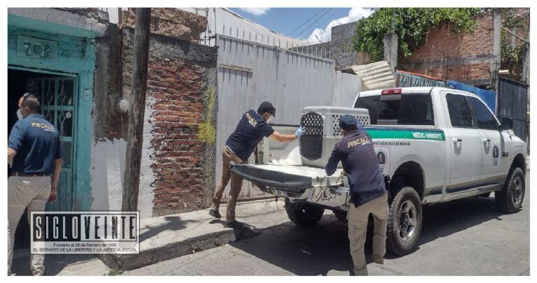 Inicia la FGE abre carpeta de investigación por posibles hechos de maltrato animal registrados al sur de Morelia, rescató un ejemplar canino