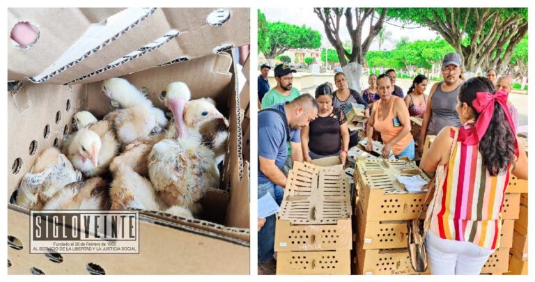 Iniciativa del Ayuntamiento de Juárez impulsa autosuficiencia alimentaria con entrega de aves de doble propósito