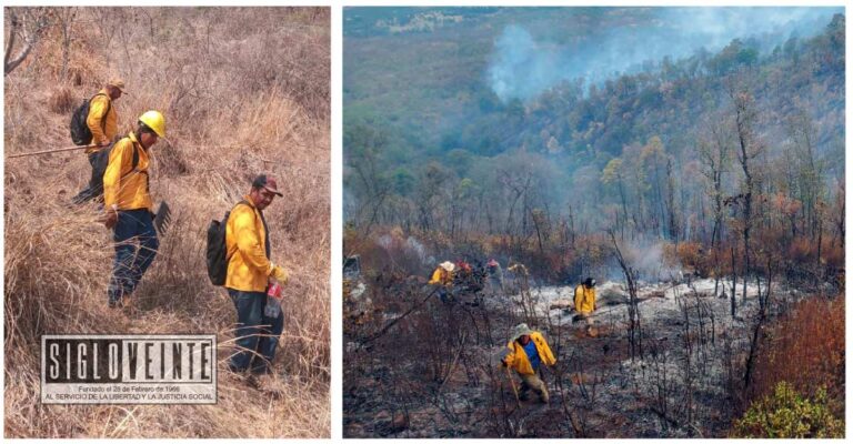 Más de 100 brigadistas forestales atienden en Huetamo, Tacámbaro, Ciudad Hidalgo y Villa Madero