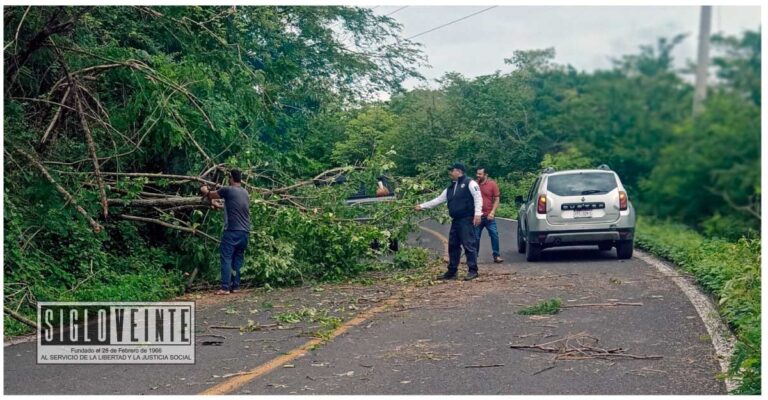Caída de árbol obstruye carretera Carácuaro-Paso de Núñez; el Agrupamiento de Seguridad Vial Estatal restaura la circulación