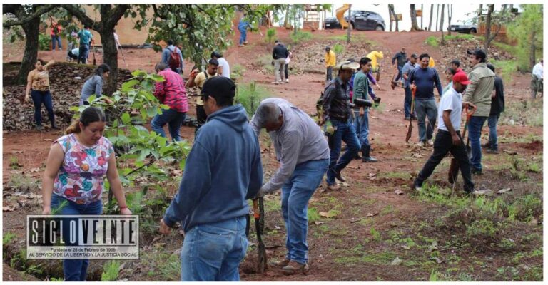 Plantarán 10 mil árboles en Área Natural Protegida Mesa de Tzitzio, gobierno estatal y Ayuntamiento unen esfuerzos para reforestar la zona