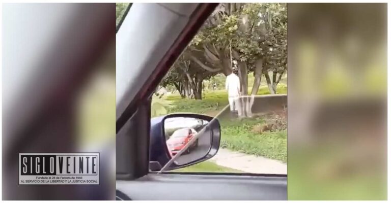 Localizan a un hombre colgado de un árbol en el Libramiento de Morelia