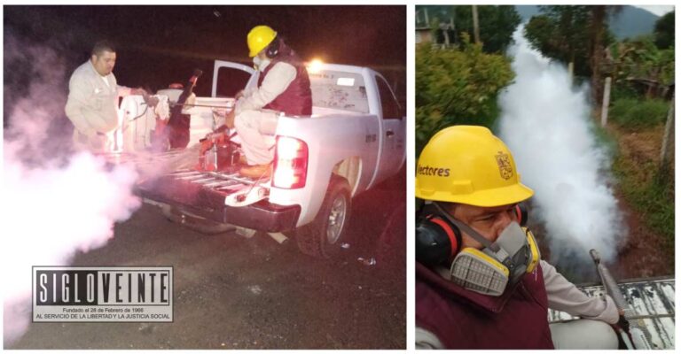 Realizadas 810 mil acciones de combate al dengue en Huetamo, Juárez, Morelia, Lázaro Cárdenas y Uruapan