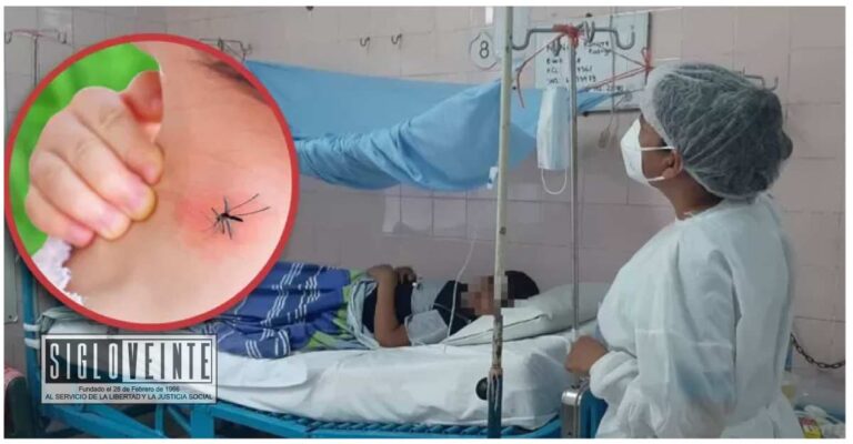 Casos de dengue en Michoacán: Lázaro Cárdenas, Huetamo, Juárez y Nocupétaro los municipios más impactados
