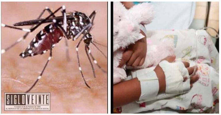 Dos niños de 2 y 11 años fallecen a causa de dengue en Apatzingán