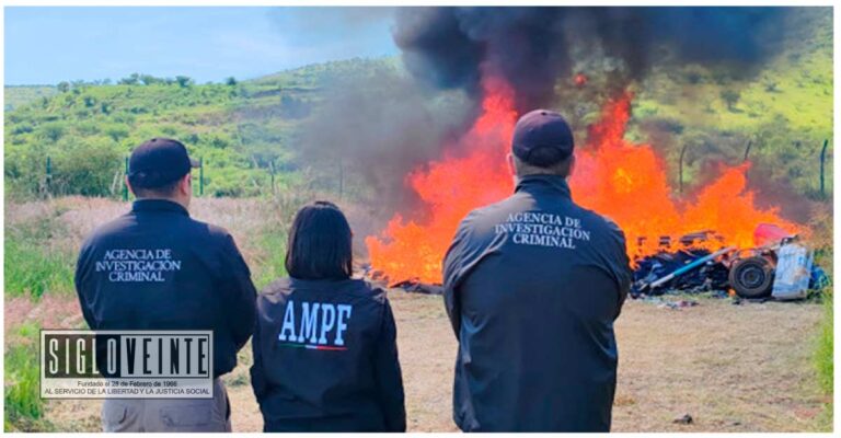 Incineran más de 100 kilos de diversos enervantes asegurados en Michoacán