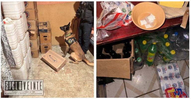 La FGE decomisó 800 dosis de narcóticos en bar ubicado sobre la carretera Tiripetío–La Eréndira