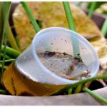 ¿Qué hacer en casa para evitar el mosquito del dengue?