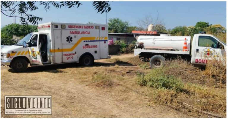 Abejas africanas atacan a tres personas en colonia de Apatzingán