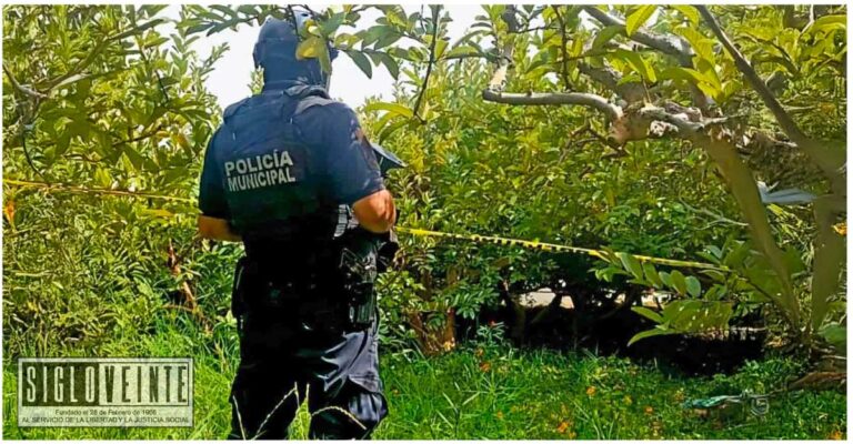 Asesinan a un adulto mayor en huerto de guayabas en el municipio de Jungapeo