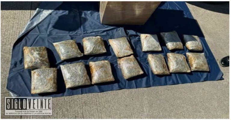Elementos federales aseguran más de 10 kilos de marihuana en empresa de paquetería en Morelia