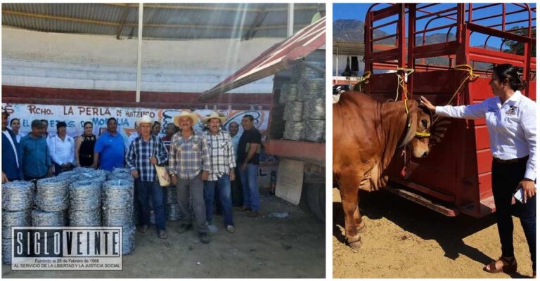 Entregan en Nocupétaro 335 rollos de alambre y 9 sementales que benefician a 67 productores del sector agropecuario