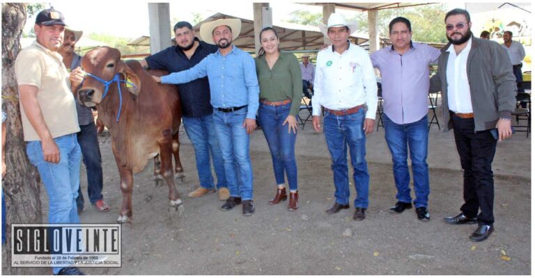 Entrega Hever Tentory sementales de registro para impulsar la ganadería en Carácuaro