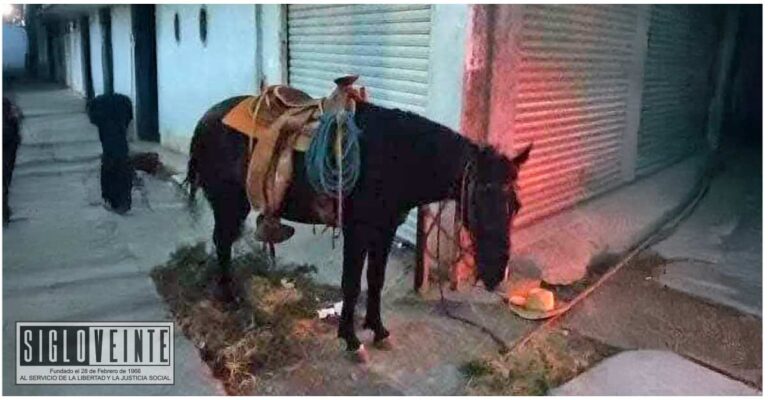 Hombre fallece tras caer de su caballo en colonia de Zitácuaro