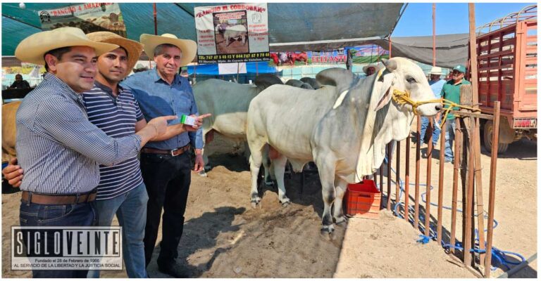 Rifan Pablo Varona y Eustolio Nava 30 sementales subsidiados durante la Expo Feria Huetamo 2024