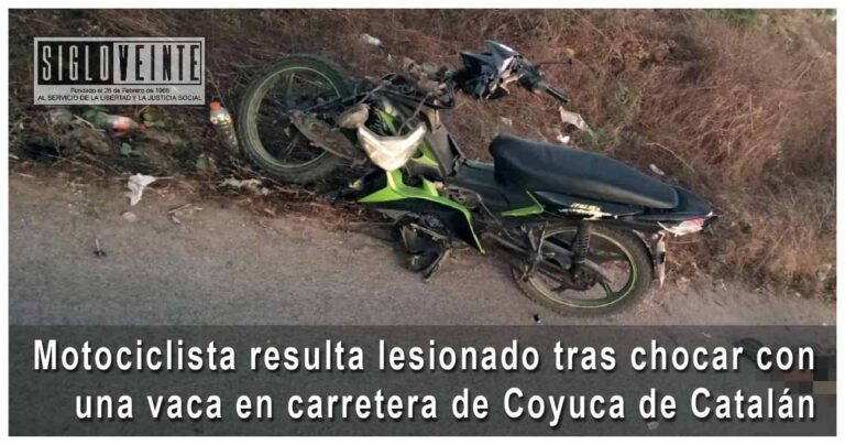 Motociclista resulta lesionado tras chocar con una vaca en carretera de Coyuca de Catalán
