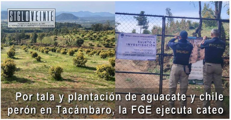 Por tala y plantación de aguacate y chile perón en Tacámbaro, la FGE ejecuta cateo