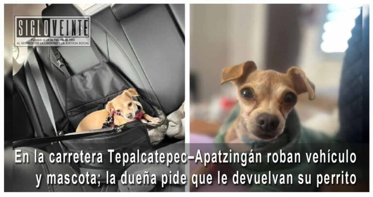 En la carretera Tepalcatepec–Apatzingán roban vehículo y mascota; la dueña pide que le devuelvan su perrito
