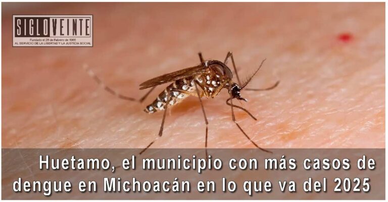 Huetamo, el municipio con más casos de dengue en Michoacán en lo que va del 2025