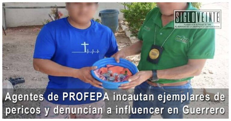 Agentes de PROFEPA incautan ejemplares de pericos y denuncian a influencer en Guerrero