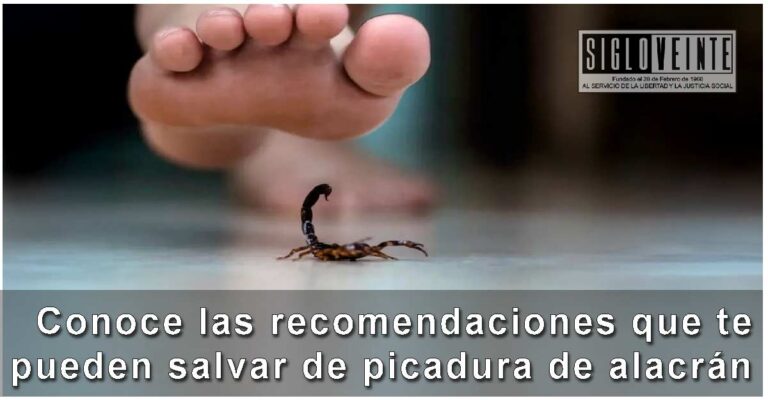 Conoce las recomendaciones que te pueden salvar de picadura de alacrán