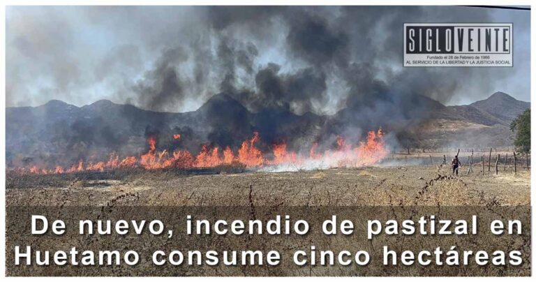 De nuevo, incendio de pastizal en Huetamo consume cinco hectáreas