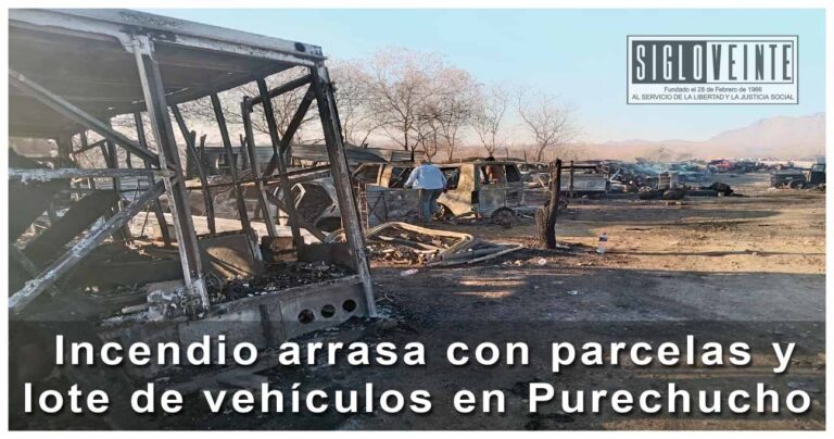 Incendio arrasa con parcelas y lote de vehículos en Purechucho