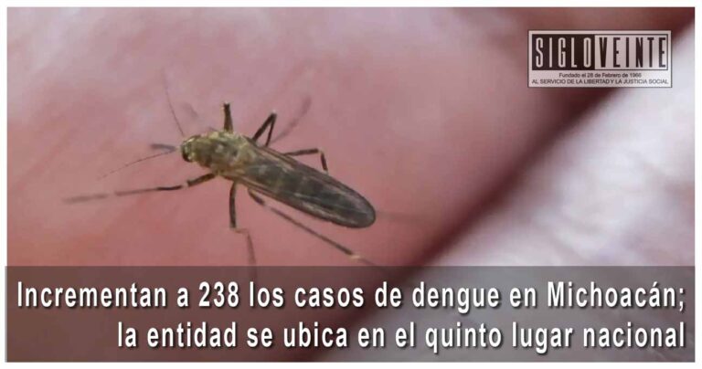 Incrementan a 238 los casos de dengue en Michoacán; la entidad se ubica en el quinto lugar nacional