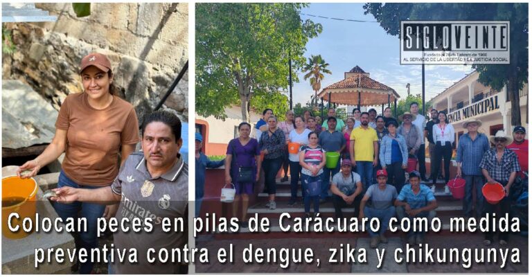 Colocan peces en pilas de Carácuaro como medida preventiva contra el dengue