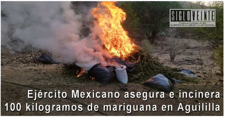 Ejército Mexicano asegura e incinera 100 kilogramos de mariguana en Aguililla
