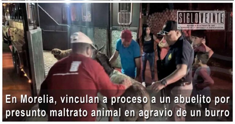 En Morelia, vinculan a proceso a un abuelito por presunto maltrato animal en agravio de un burro