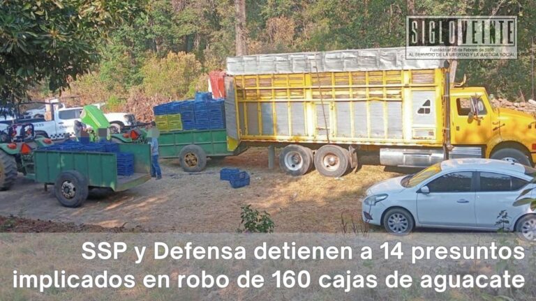 SSP y Defensa detienen a 14 presuntos implicados en robo de 160 cajas de aguacate