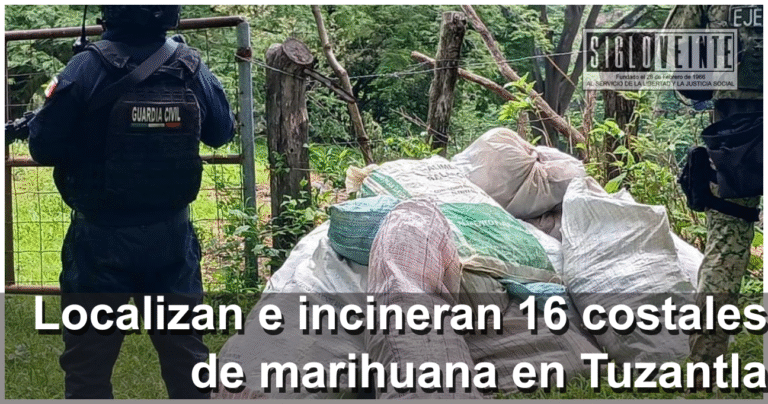 Localizan e incineran 16 costales de marihuana en Tuzantla