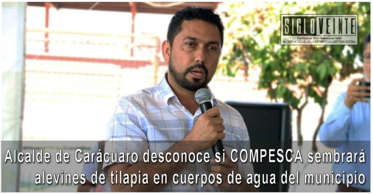 Alcalde de Carácuaro desconoce si COMPESCA sembrará alevines de tilapia en cuerpos de agua del municipio