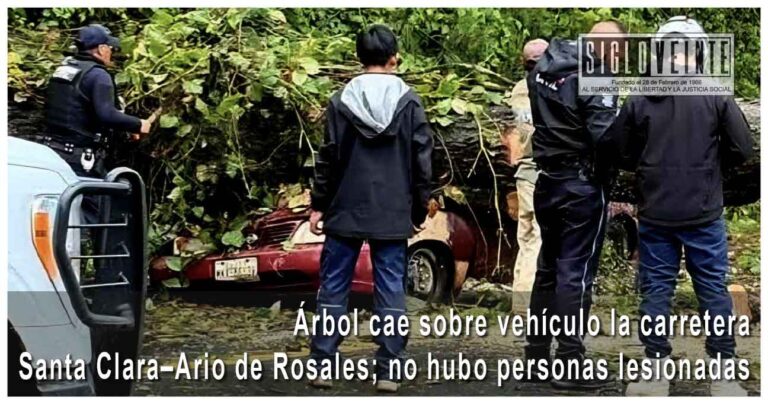 Árbol cae sobre vehículo la carretera Santa Clara–Ario de Rosales; no hubo personas lesionadas