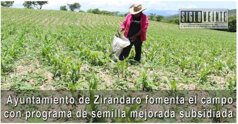 Ayuntamiento de Zirándaro fomenta el campo con programa de semilla mejorada subsidiada