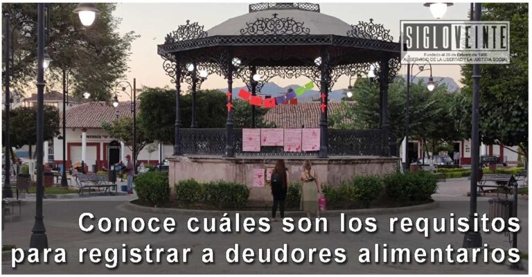 Conoce cuáles son los requisitos para registrar a deudores alimentarios