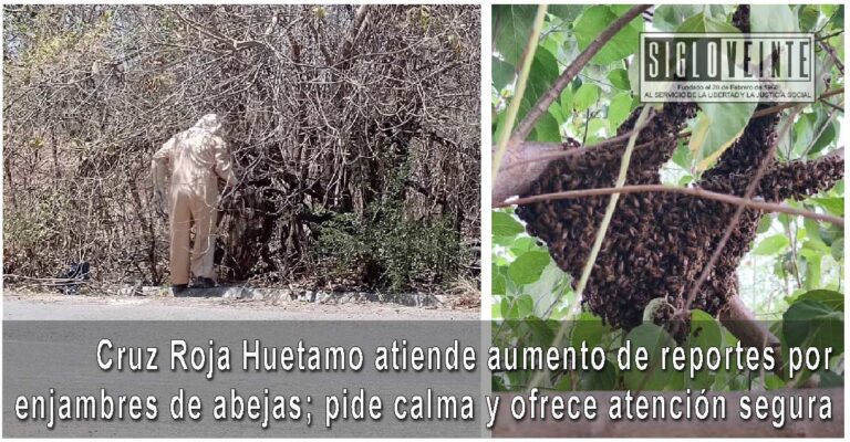 Cruz Roja Huetamo atiende aumento de reportes por enjambres de abejas; pide calma y ofrece atención segura