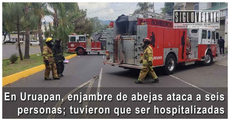 En Uruapan, enjambre de abejas ataca a seis personas; tuvieron que ser hospitalizadas