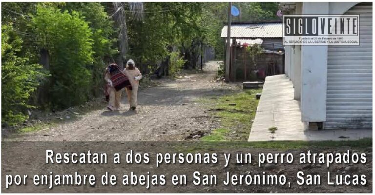 Rescatan a dos personas y un perro atrapados por enjambre de abejas en San Jerónimo, San Lucas