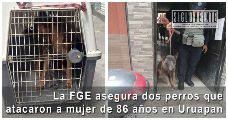 La FGE asegura dos perros que atacaron a mujer de 86 años en Uruapan