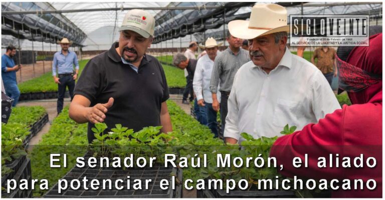 El senador Raúl Morón, el aliado para potenciar el campo michoacano