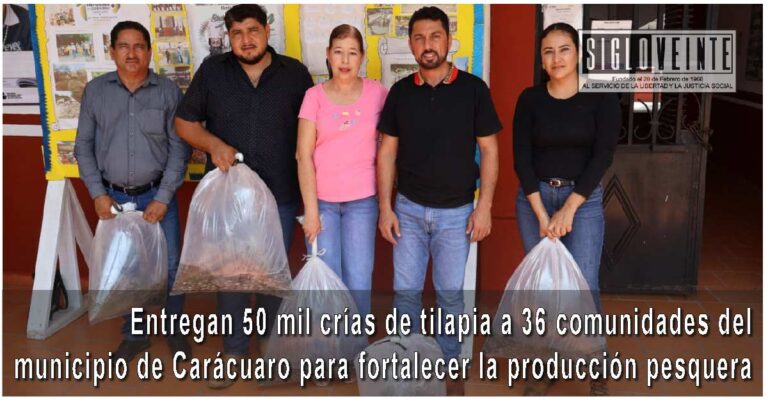 Entregan 50 mil crías de tilapia a 36 comunidades del municipio de Carácuaro para fortalecer la producción pesquera