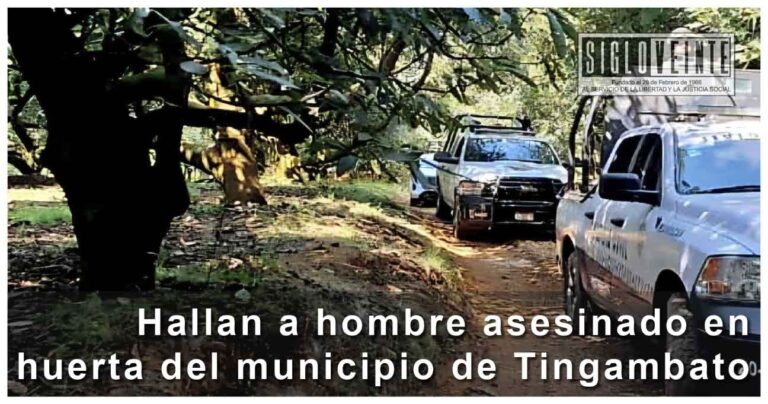 Hallan a hombre asesinado en huerta del municipio de Tingambato