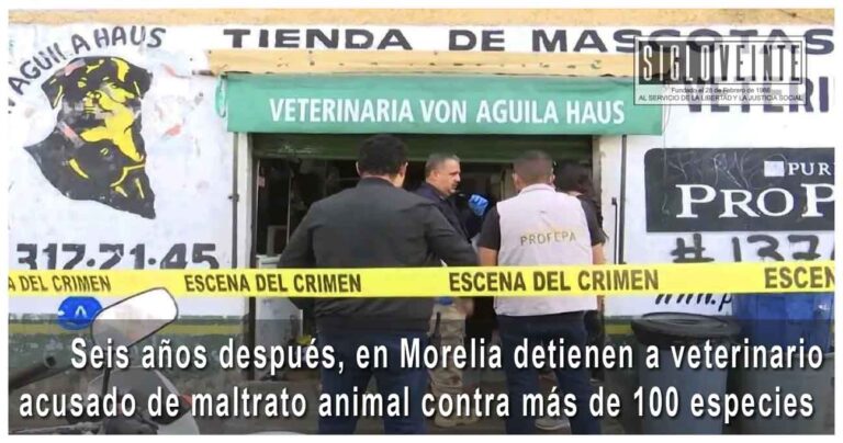 Seis años después, en Morelia detienen a veterinario acusado de maltrato animal contra más de 100 especies