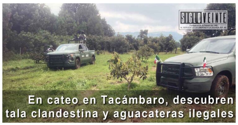En cateo en Tacámbaro, descubren tala clandestina y aguacateras ilegales
